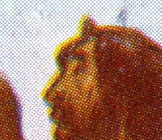colour image as scanned (detail)